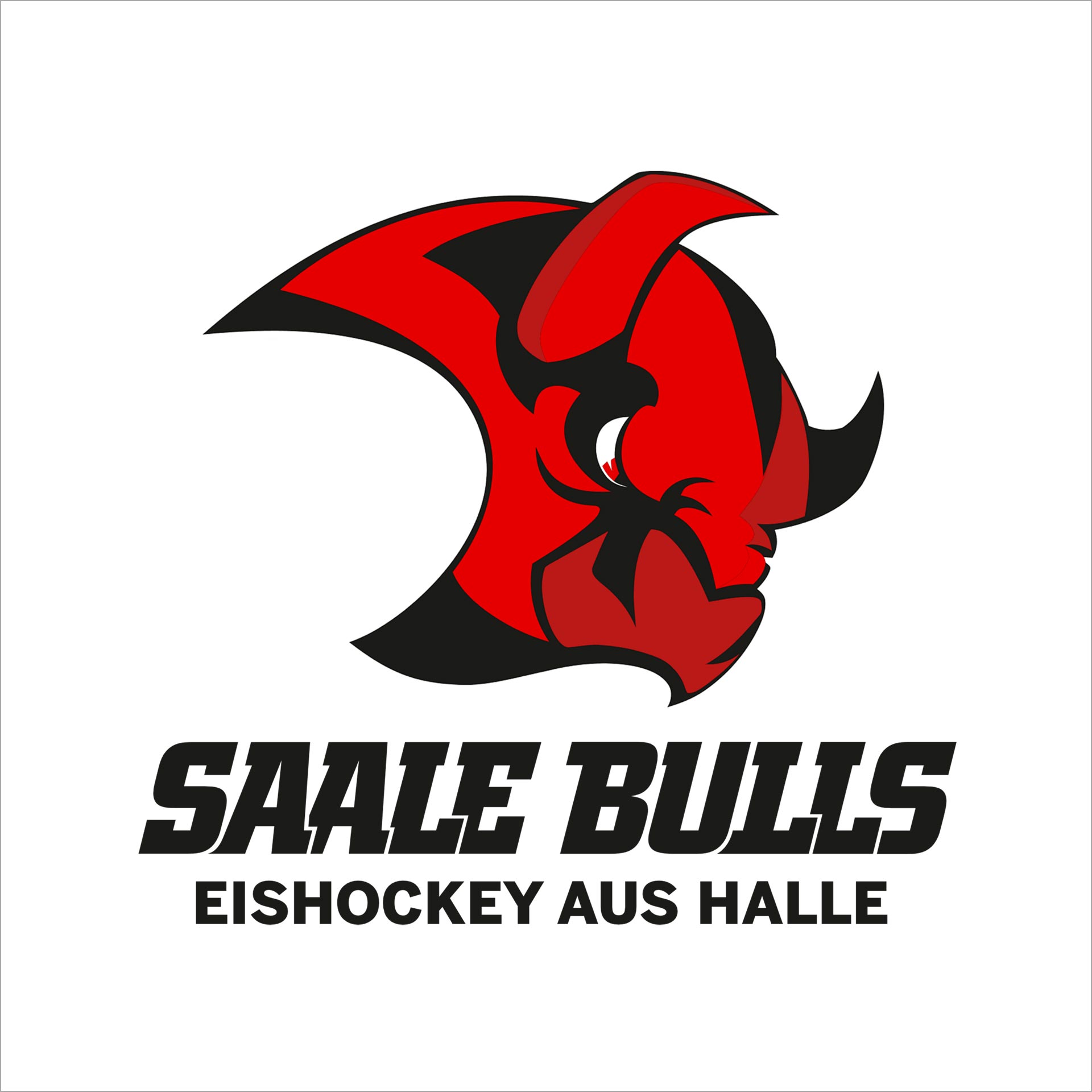 Sportpark Partner Saalebulls 1